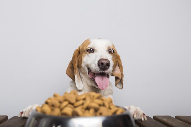 Dr Harvey Dog Food Recall Details